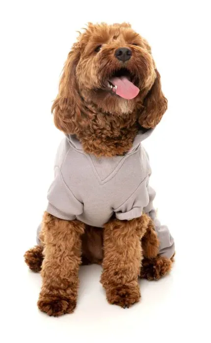 FuzzYard Tracksuit - Urban  - Cool Grey 4 - img 4