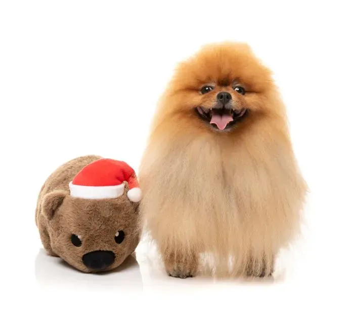 FuzzYard Xmas Toy - Wallace Wombat L - img 5