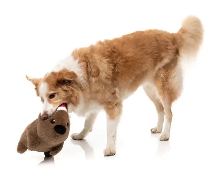 FuzzYard Xmas Toy - Wallace Wombat L - img 6