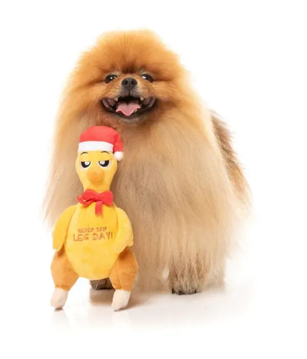 FuzzYard Xmas Toy - Never Skip Leg Day Chook - img 4