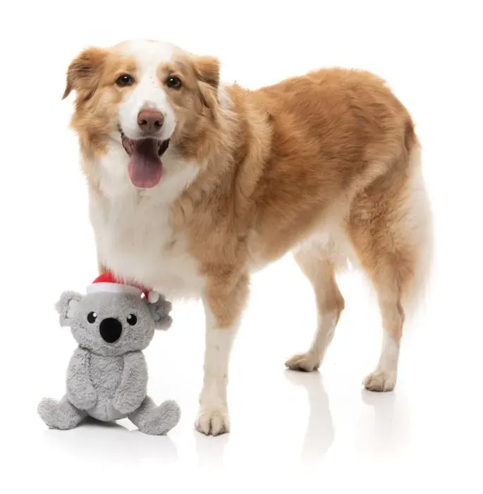 FuzzYard Xmas Toy - Coco Koala S - img 5