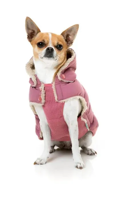 FuzzYard Jacket - Essential Puffer - Mauve 5 - img 3