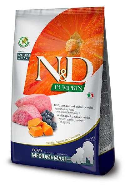 N&D Pumpkin Lamb & Blueberry Puppy Medium & Maxi 12KG