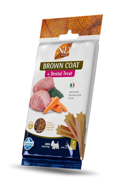 ND POSLASTICA BROWN COAT DENTAL 60g